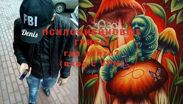 сатива Аркадак