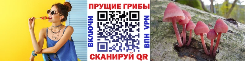 Псилоцибиновые грибы прущие грибы  Сасово 
